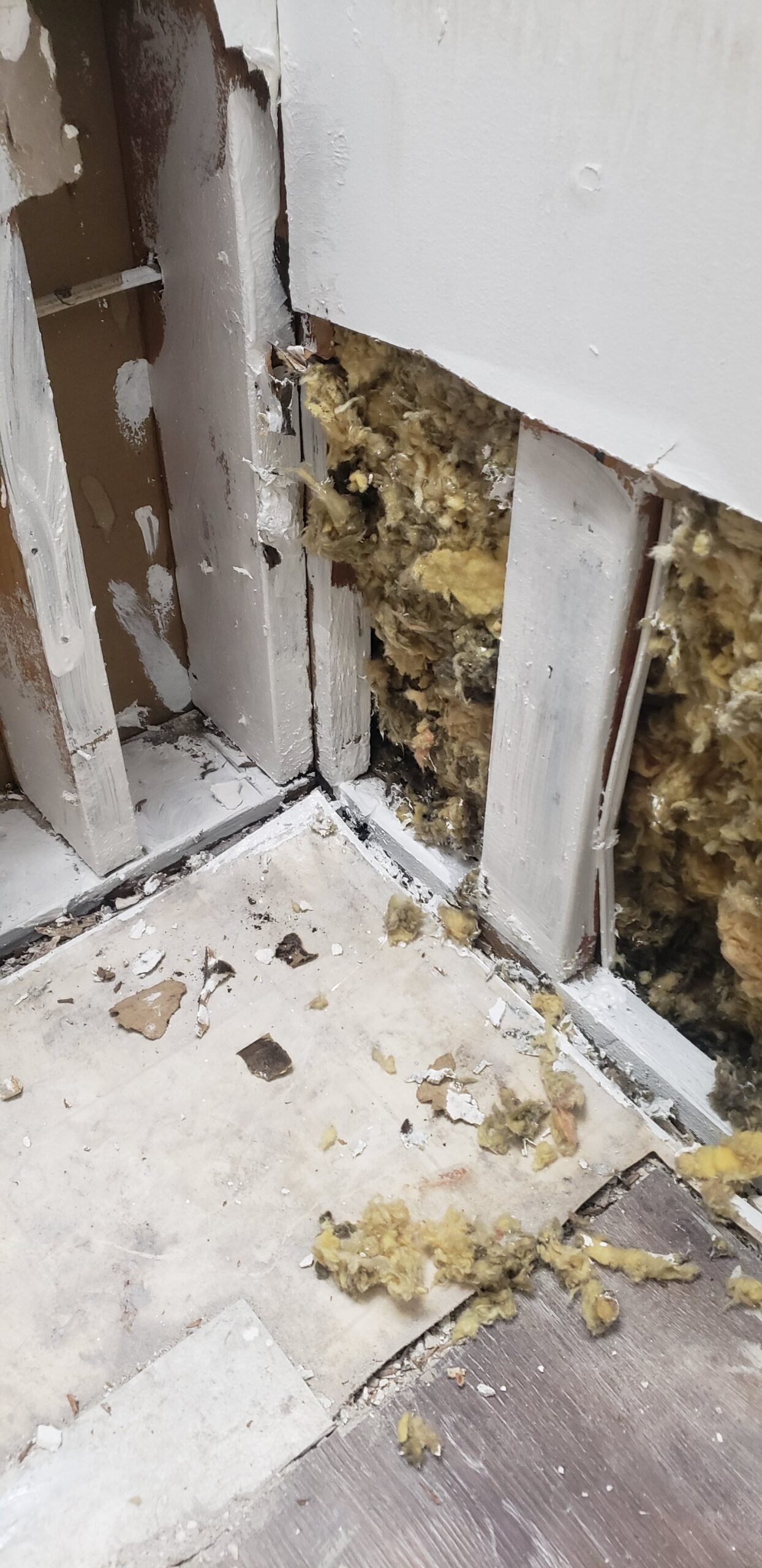 Mold Sealing and Treatment