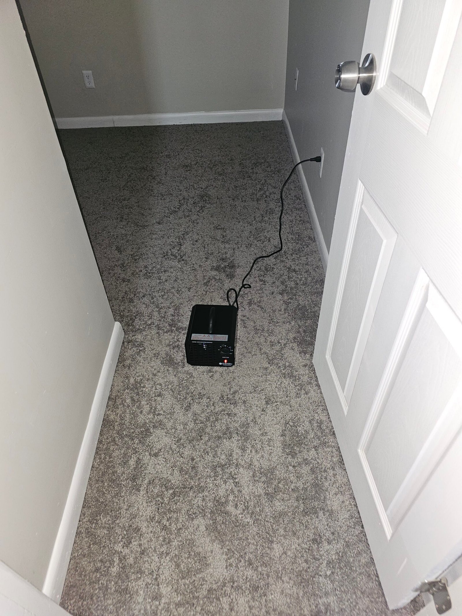 Carpet & Pad