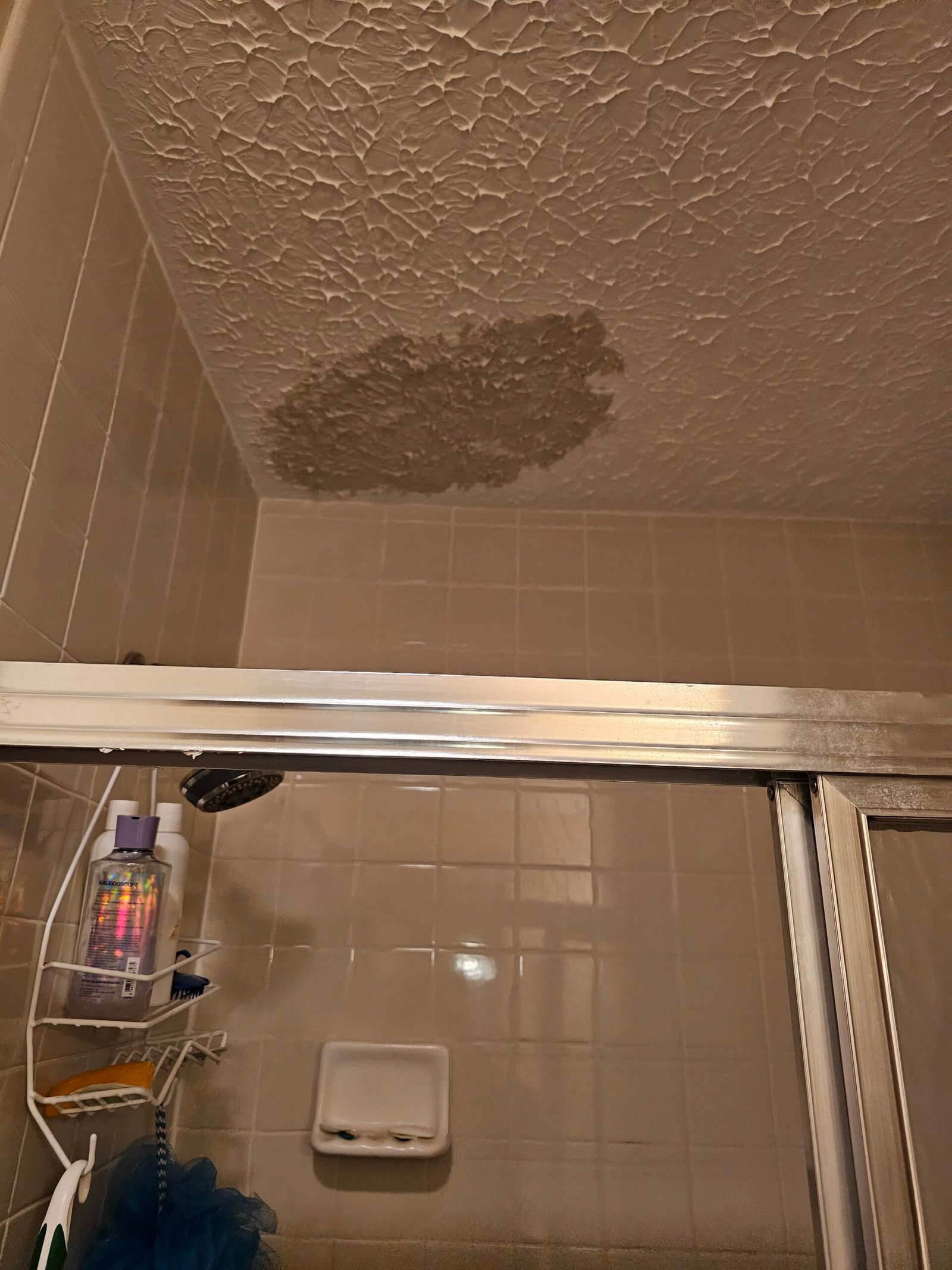 Ceiling Texture Match