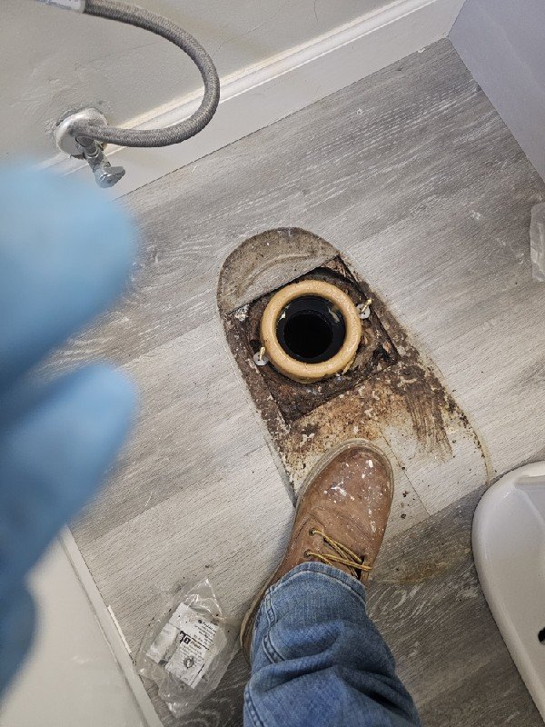 Toilet Flange Replacement