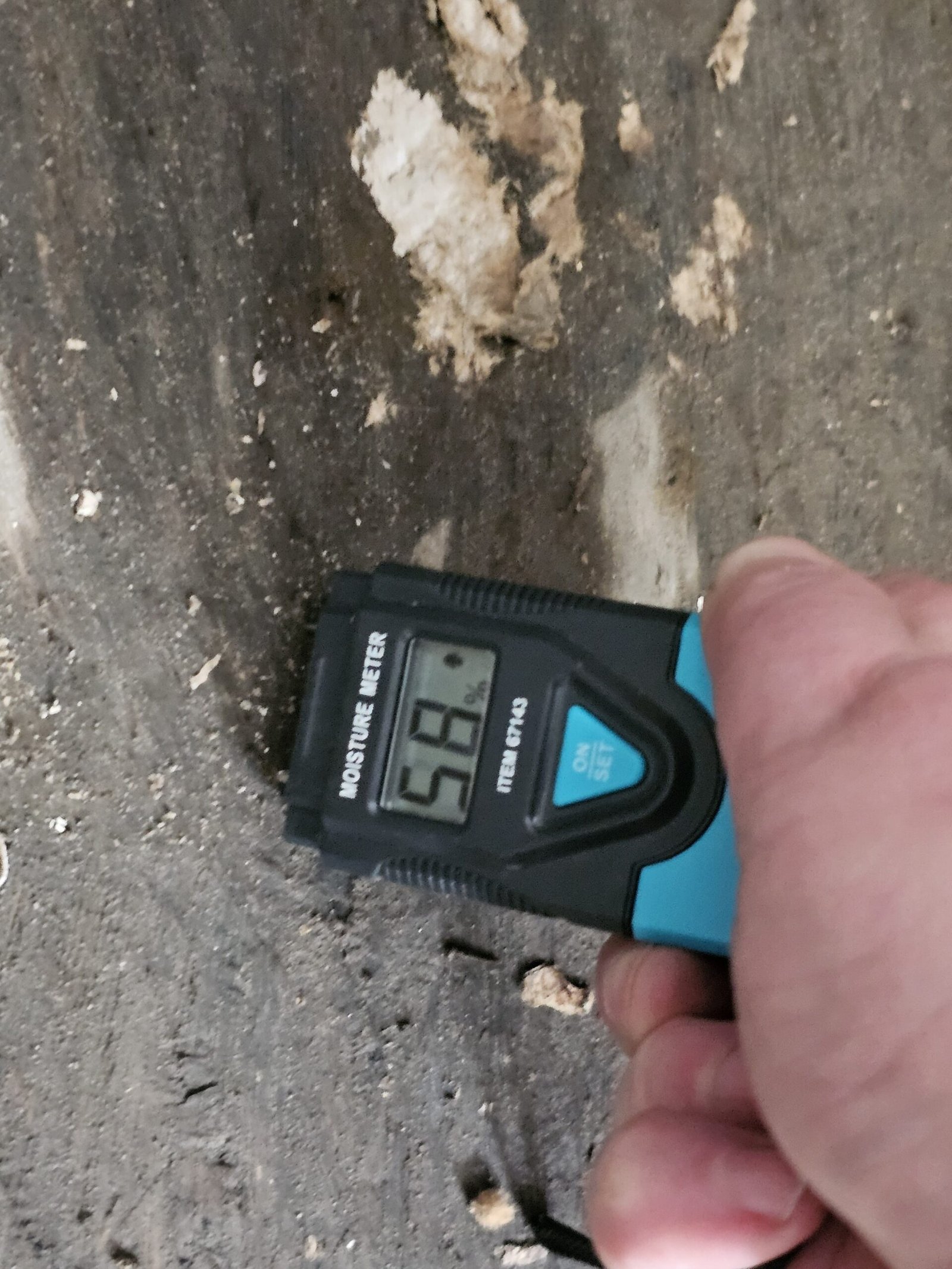 Moisture Measurement