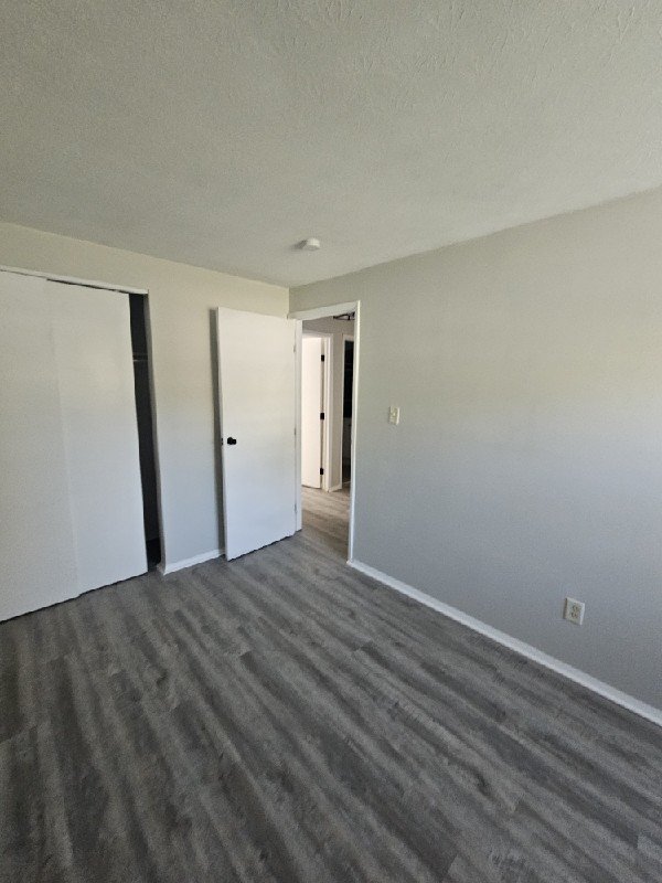 Paint & Floor