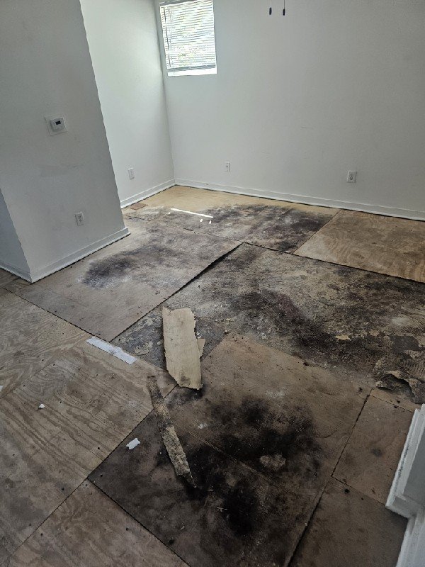 Subfloor damage
